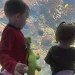Cameron Howard - Facebook