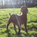 Cameron Hupp - Facebook