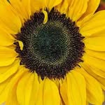Cameron Huston - @cameronhuston76 - Instagram