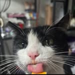 Cameron hyde - @deadinneworleans - Instagram