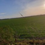 Cameron's Music - @cameron_imrie_music - Instagram