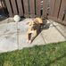 Cameron Innes - Facebook