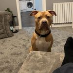 Cameron Innes - @cameron_innes3 - Instagram