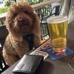 Cameron Irvine - @cameron__irvine - Instagram