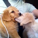 cameron & jasper - @90sdorks - Instagram