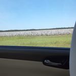 cameron Jasper - @camjasper102020 - Instagram