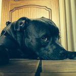 CameronJefferson - @cameronjefferson - Instagram
