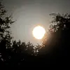 Cameron.joyy - @cameronjoy1 - TikTok