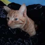 Cameron Judd - @cameron.judd.351 - Instagram