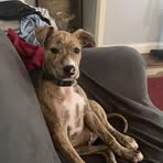 Cameron Kash - Facebook