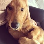 Cameron Keene - @goldenaxel18 - Instagram
