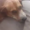 Cameron Keeney - @cameron.keeney - TikTok