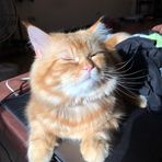 Cameron Keller - Facebook
