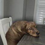 Cameron Keller - Facebook