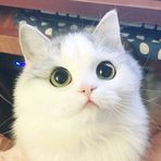 Cameron Keller - Facebook