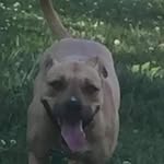 Cameron Kenney - @cameronkenney38 - Instagram