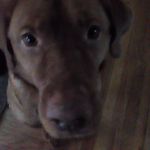 Cameron Kenney - @cameronkenney6585 - Instagram
