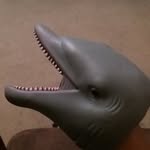 Cameron Kenney - @the_dolphen_puppet - Instagram