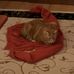 Cameron Kennington - Facebook