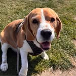 Cameron Kent - @cameronk87962 - Instagram