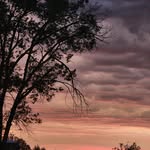 Cameron Kenyon - @cameronsphotography2022 - Instagram