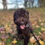 Cameron Kenyon - Facebook
