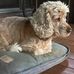 Cameron Key - Facebook