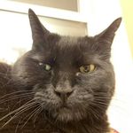 cameron keyes - @camkeyes - Instagram