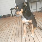 Cameron Keys - @cameronk622 - Instagram