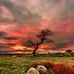 Cameron Gosling - Facebook