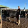 Cameron Kessling - @cameronkessling - TikTok