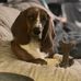 Cameron Kimberlin - Facebook