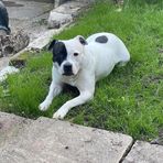 Cameron Knowles - Facebook