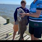 Cameron Kramer - @pelicansgoat6 - Instagram