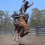 Cameron Lang - @cameron.lang.1291421 - Instagram