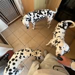 Cameron Lang - @cameronlang147 - Instagram