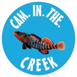 Cameron M. Layne - @cam.in.the.creek - Instagram