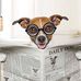 Cameron Lazar - Facebook