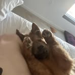 Cameron Le - Facebook