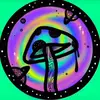 Liked vids - @cameronlee026 - TikTok