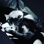 Cameron Linger - @linger.cameron - Instagram