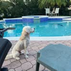 Cameron Lucas - Facebook