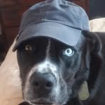 Cameron Macpherson - @rmac1148 - Instagram