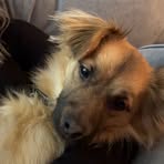 Cameron MacPherson - Facebook