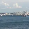 Cameron McAlpine - @31027431362 - TikTok