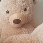 Cameron McDaniel - @cameronmcdaniel159 - Instagram
