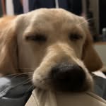 Cemren - @cameron.mckirdy - Instagram