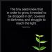 Cameron McClune - Facebook