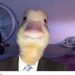 Cameron McMahon - Facebook