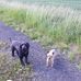 Cameron Mcneill - Facebook